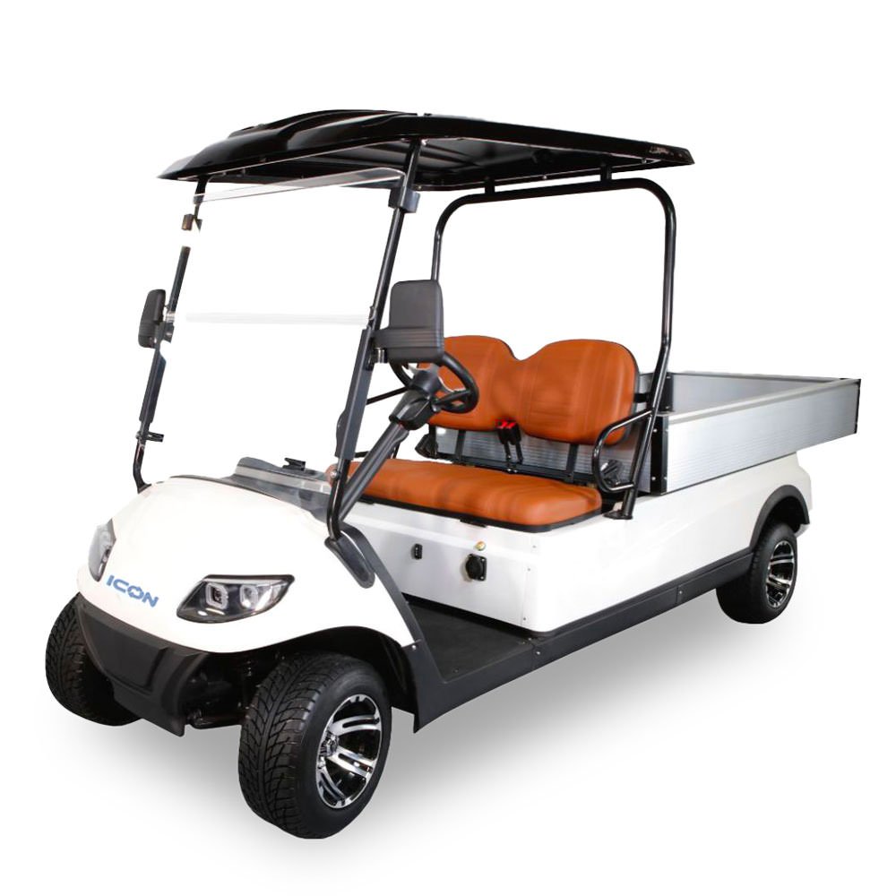 Icon C20U - For Sale at Bennett's Golf Carts